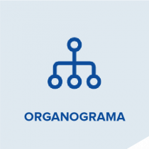 organograma-05