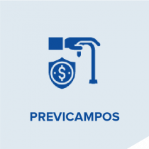 previcampos-05